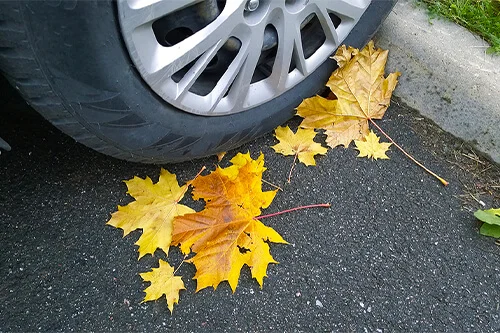 Are Your Tires Ready for Fall & Winter? | Kanuga Tire & Auto in Hendersonville, NC. Image of a car wheel with yellow fallen maple leaves on asphalt.